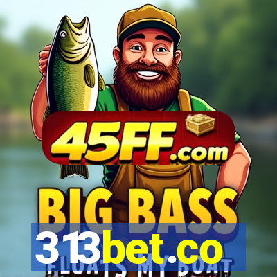 313bet.co
