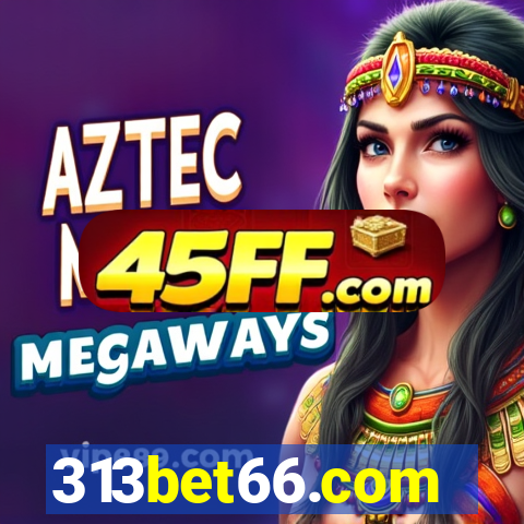 313bet66.com