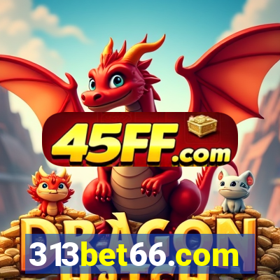 313bet66.com