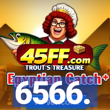 6566.