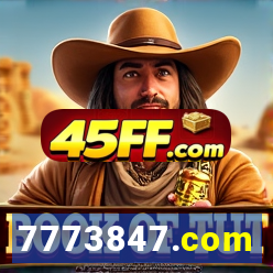 7773847.com