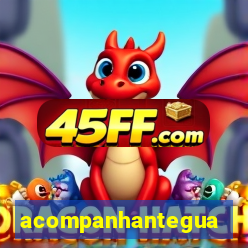 acompanhanteguanambi