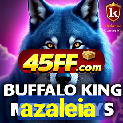 azaleia-br.com