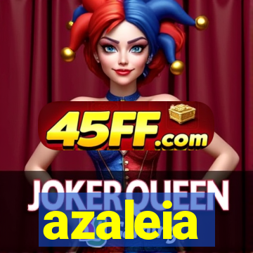 azaleia-br.com
