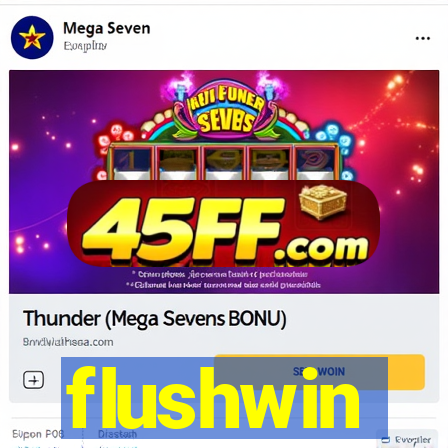 flushwin