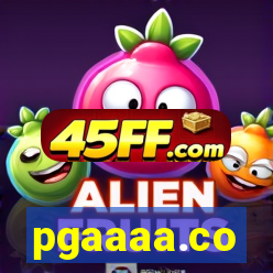 pgaaaa.co