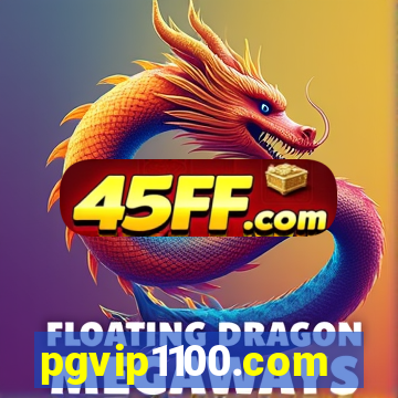pgvip1100.com