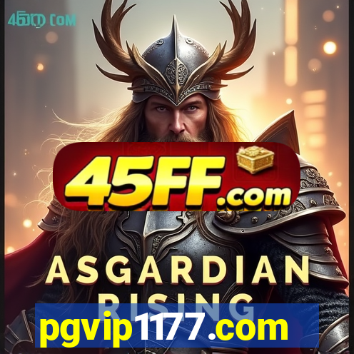 pgvip1177.com