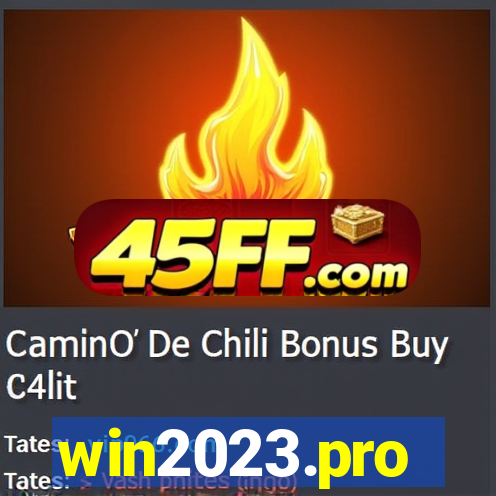 win2023.pro