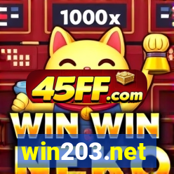 win203.net