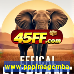 www.pppimagembahia.com.br