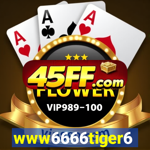 www6666tiger6
